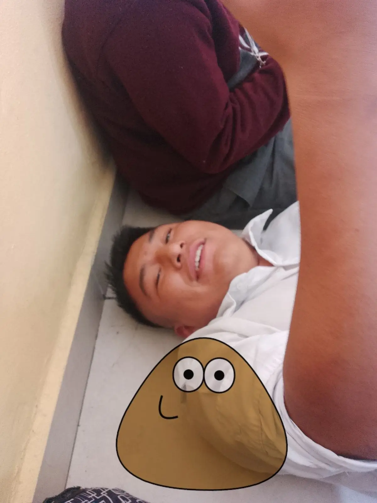 Imagen Meme-6-pou